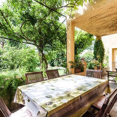 B&B Casa Marconiピサ エクステリア 写真