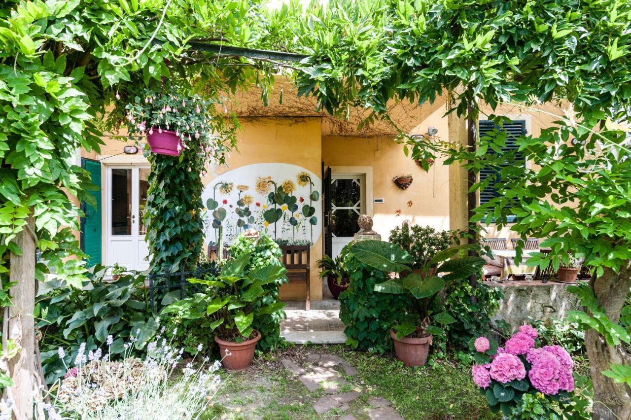 B&B Casa Marconiピサ エクステリア 写真