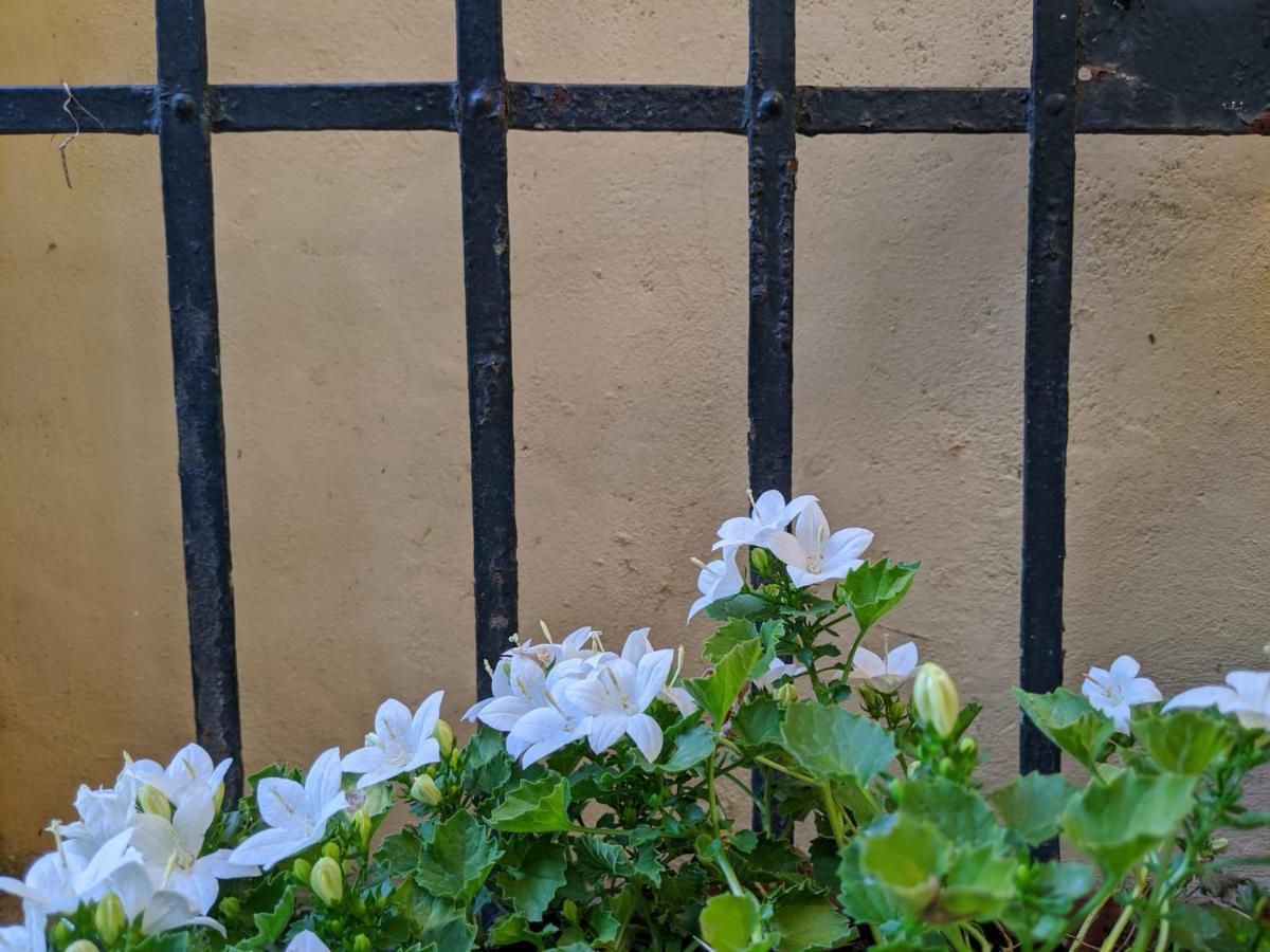 B&B Casa Marconiピサ エクステリア 写真