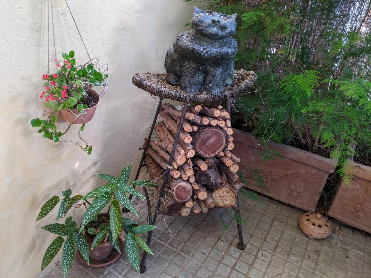 B&B Casa Marconiピサ エクステリア 写真